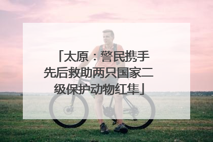 太原：警民携手 先后救助两只国家二级保护动物红隼