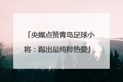 央媒点赞青岛足球小将：踢出最纯粹热爱