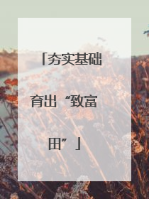 夯实基础育出“致富田”