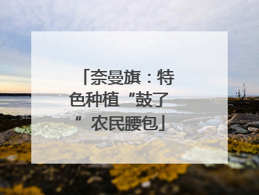 奈曼旗：特色种植“鼓了”农民腰包