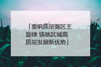 奏响质量强区主旋律 铸就区域高质量发展新优势