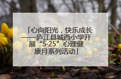 心向阳光，快乐成长——庐江县城西小学开展“5·25”心理健康月系列活动