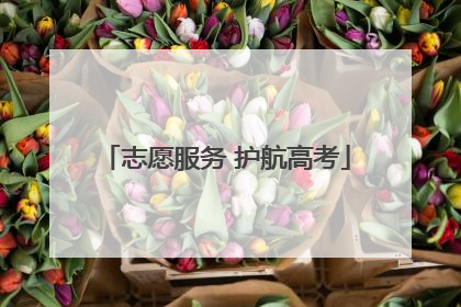 志愿服务 护航高考