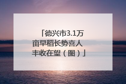 德兴市3.1万亩早稻长势喜人 丰收在望（图）