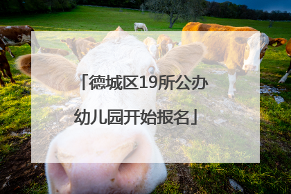 德城区19所公办幼儿园开始报名
