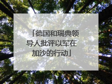 德国和瑞典领导人批评以军在加沙的行动