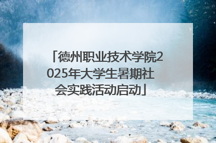 德州职业技术学院2025年大学生暑期社会实践活动启动