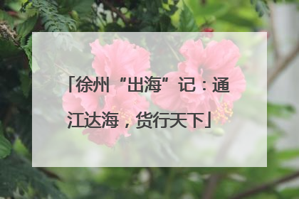 徐州“出海”记：通江达海，货行天下
