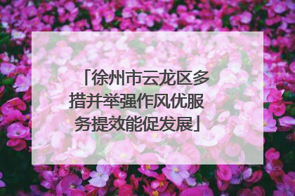 徐州市云龙区多措并举强作风优服务提效能促发展