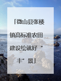 微山县张楼镇高标准农田建设绘就好“丰”景