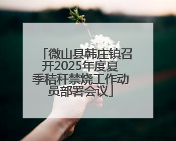 微山县韩庄镇召开2025年度夏季秸秆禁烧工作动员部署会议