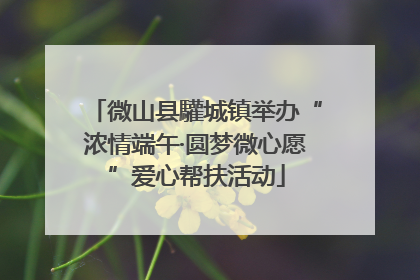 微山县驩城镇举办“浓情端午·圆梦微心愿”爱心帮扶活动