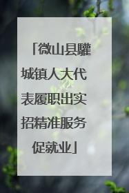 微山县驩城镇人大代表履职出实招精准服务促就业
