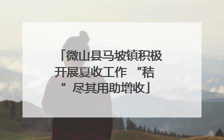 微山县马坡镇积极开展夏收工作 “秸”尽其用助增收