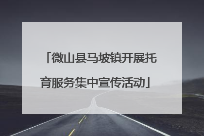 微山县马坡镇开展托育服务集中宣传活动