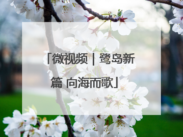 微视频｜鹭岛新篇 向海而歌