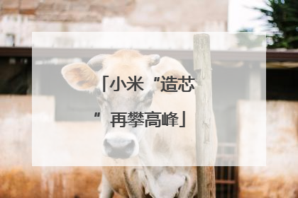 小米“造芯”再攀高峰