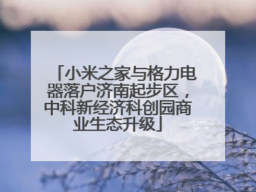 小米之家与格力电器落户济南起步区，中科新经济科创园商业生态升级