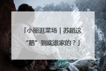 小丽逛菜场｜苏超这“鹅”到底谁家的？