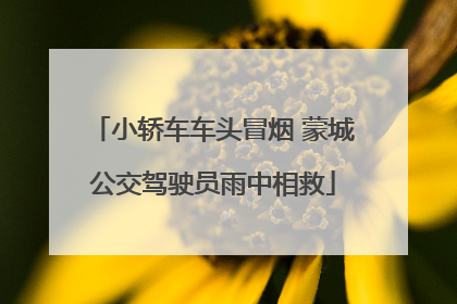 小轿车车头冒烟 蒙城公交驾驶员雨中相救