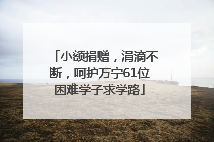小额捐赠，涓滴不断，呵护万宁61位困难学子求学路