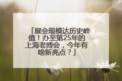 展会规模达历史峰值！办至第25年的上海老博会，今年有啥新亮点？
