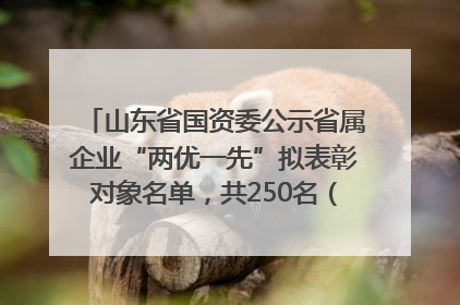 山东省国资委公示省属企业“两优一先”拟表彰对象名单，共250名（个）党员和党组织