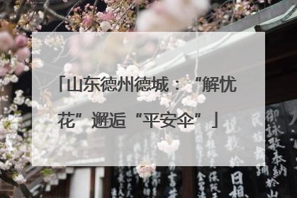 山东德州德城：“解忧花”邂逅“平安伞”