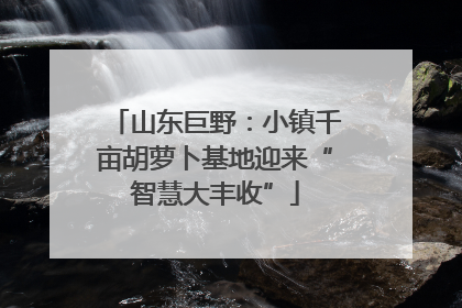 山东巨野：小镇千亩胡萝卜基地迎来“智慧大丰收”