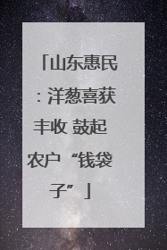 山东惠民：洋葱喜获丰收 鼓起农户“钱袋子”