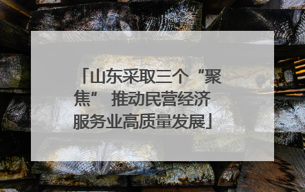 山东采取三个“聚焦” 推动民营经济服务业高质量发展