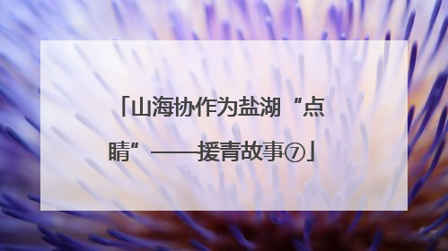 山海协作为盐湖“点睛”——援青故事⑦