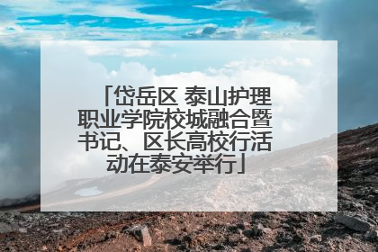 岱岳区 泰山护理职业学院校城融合暨书记、区长高校行活动在泰安举行
