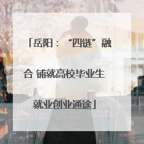 岳阳：“四链”融合 铺就高校毕业生就业创业通途