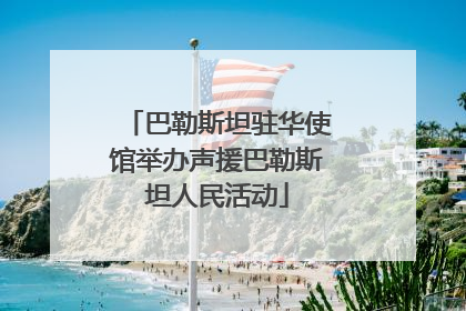 巴勒斯坦驻华使馆举办声援巴勒斯坦人民活动