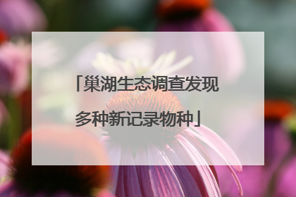 巢湖生态调查发现多种新记录物种