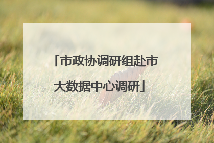 市政协调研组赴市大数据中心调研