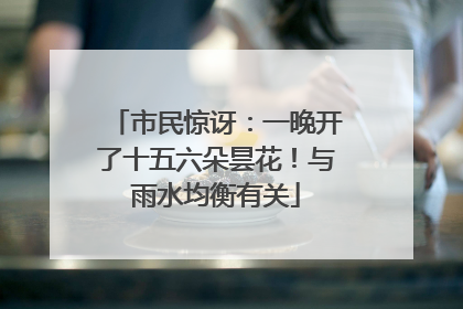 市民惊讶：一晚开了十五六朵昙花！与雨水均衡有关