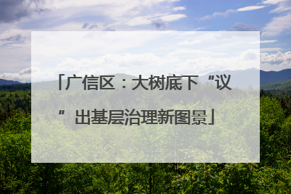广信区：大树底下“议”出基层治理新图景