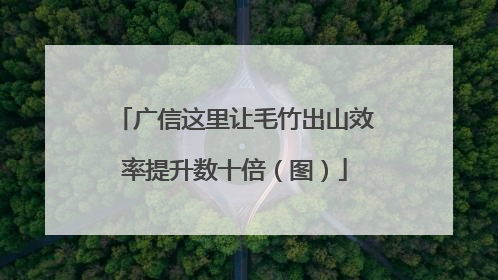广信这里让毛竹出山效率提升数十倍（图）
