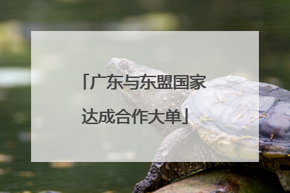广东与东盟国家达成合作大单