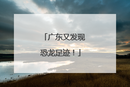 广东又发现恐龙足迹！