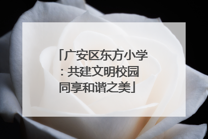 广安区东方小学：共建文明校园 同享和谐之美