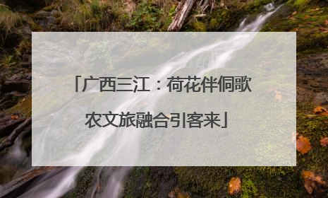 广西三江：荷花伴侗歌 农文旅融合引客来