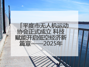 平度市无人机运动协会正式成立 科技赋能开启低空经济新篇章——2025年首届会员大会暨无人机应用发展论坛成功举办