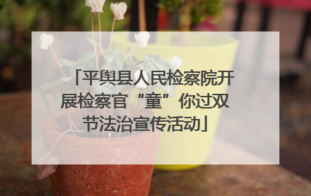 平舆县人民检察院开展检察官“童”你过双节法治宣传活动