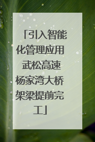 引入智能化管理应用 武松高速杨家湾大桥架梁提前完工