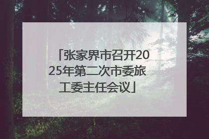 张家界市召开2025年第二次市委旅工委主任会议