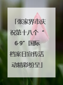 张家界市庆祝第十八个“6·9”国际档案日宣传活动精彩纷呈