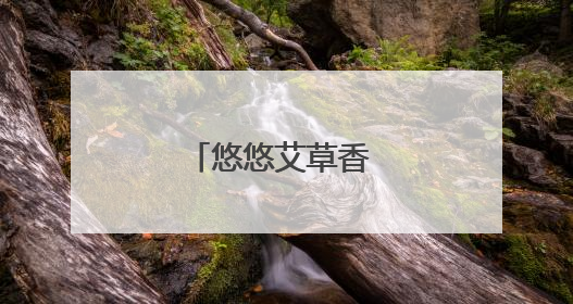 悠悠艾草香 片片粽叶长